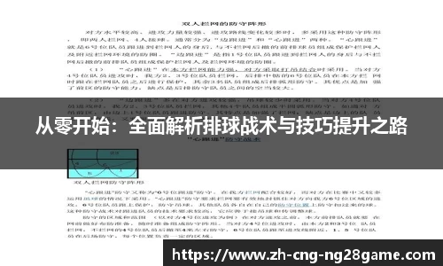从零开始：全面解析排球战术与技巧提升之路